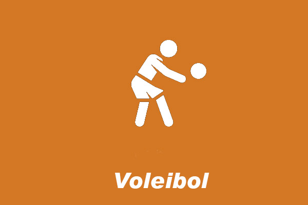 voleibol