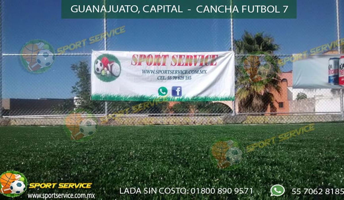 guanajuato fut 7- 41